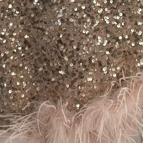 Champagne sequin dress with pink feathers - Picture 3 of 4